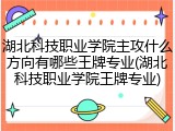 湖北科技职业学院主攻什么方向有哪些王牌专业(湖北科技职业学院王牌专业)