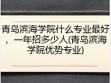 青岛滨海学院什么专业最好，一年招多少人(青岛滨海学院优势专业)