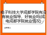 电子科技大学成都学院有没有就业指导，好就业吗(成电成都学院就业情况)
