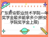 广东新安职业技术学院一年奖学金最多能拿多少(新安学院奖学金上限)
