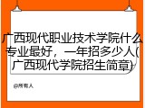广西现代职业技术学院什么专业最好，一年招多少人(广西现代学院招生简章)