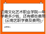 云南文化艺术职业学院一年学费多少钱，还有哪些费用(云南艺职学费及费用)