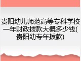 贵阳幼儿师范高等专科学校一年财政拨款大概多少钱(贵阳幼专年拨款)