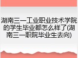 湖南三一工业职业技术学院的学生毕业都怎么样了(湖南三一职院毕业生去向)