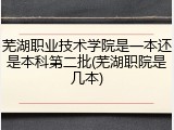 芜湖职业技术学院是一本还是本科第二批(芜湖职院是几本)
