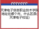 天津电子信息职业技术学院地址在哪个市，什么区县(天津电子校址)