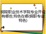 铜陵职业技术学院专业开设有哪些,特色在哪(铜职专业特色)