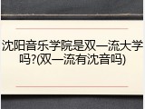 沈阳音乐学院是双一流大学吗?(双一流有沈音吗)
