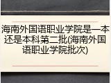 海南外国语职业学院是一本还是本科第二批(海南外国语职业学院批次)