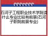 石河子工程职业技术学院读什么专业比较有前景(石河子职院前景专业)