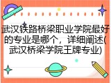 武汉铁路桥梁职业学院最好的专业是哪个,详细阐述(武汉桥梁学院王牌专业)