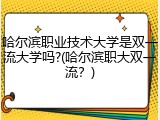 哈尔滨职业技术大学是双一流大学吗?(哈尔滨职大双一流？)