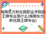 海南东方新丝路职业学院的王牌专业是什么(海南东方新丝路王牌专业)