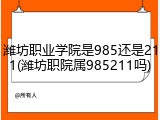 潍坊职业学院是985还是211(潍坊职院属985211吗)