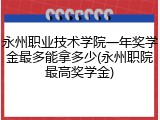 永州职业技术学院一年奖学金最多能拿多少(永州职院最高奖学金)