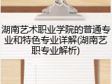 湖南艺术职业学院的普通专业和特色专业详解(湖南艺职专业解析)