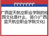 广西蓝天航空职业学院的校园文化是什么，简介(广西蓝天航空职业学院文化)