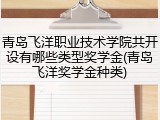 青岛飞洋职业技术学院共开设有哪些类型奖学金(青岛飞洋奖学金种类)