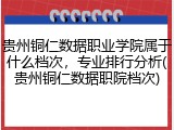 贵州铜仁数据职业学院属于什么档次，专业排行分析(贵州铜仁数据职院档次)
