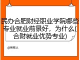 民办合肥财经职业学院哪些专业就业前景好，为什么(合财就业优势专业)