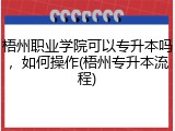 梧州职业学院可以专升本吗，如何操作(梧州专升本流程)
