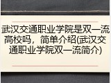 武汉交通职业学院是双一流高校吗，简单介绍(武汉交通职业学院双一流简介)