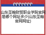 山东圣翰财贸职业学院官网是哪个网址多少(山东圣翰官网网址)