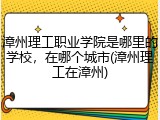 漳州理工职业学院是哪里的学校，在哪个城市(漳州理工在漳州)