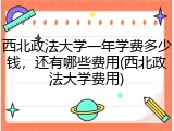 西北政法大学一年学费多少钱，还有哪些费用(西北政法大学费用)