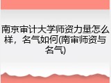 南京审计大学师资力量怎么样，名气如何(南审师资与名气)
