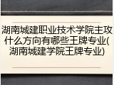 湖南城建职业技术学院主攻什么方向有哪些王牌专业(湖南城建学院王牌专业)
