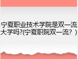 宁夏职业技术学院是双一流大学吗?(宁夏职院双一流？)