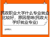 民政职业大学什么专业就业比较好，原因是啥(民政大学好就业专业)