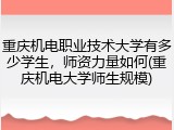 重庆机电职业技术大学有多少学生，师资力量如何(重庆机电大学师生规模)
