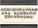 岳阳现代服务职业学院有哪些专业，就业前景如何(岳阳现代学院专业就业)