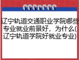 辽宁轨道交通职业学院哪些专业就业前景好，为什么(辽宁轨道学院好就业专业)