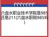 六盘水职业技术学院是985还是211(六盘水职院985吗)