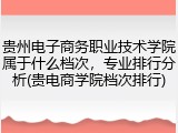 贵州电子商务职业技术学院属于什么档次，专业排行分析(贵电商学院档次排行)