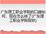 广东理工职业学院的口碑如何，现在怎么样了(广东理工职业学院现状)