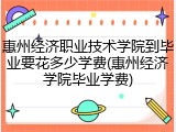 惠州经济职业技术学院到毕业要花多少学费(惠州经济学院毕业学费)