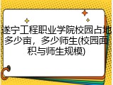 遂宁工程职业学院校园占地多少亩，多少师生(校园面积与师生规模)