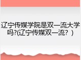 辽宁传媒学院是双一流大学吗?(辽宁传媒双一流?)