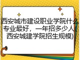 西安城市建设职业学院什么专业最好，一年招多少人(西安城建学院招生规模)