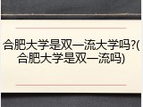 合肥大学是双一流大学吗?(合肥大学是双一流吗)