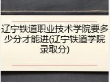 辽宁铁道职业技术学院要多少分才能进(辽宁铁道学院录取分)