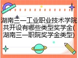 湖南三一工业职业技术学院共开设有哪些类型奖学金(湖南三一职院奖学金类型)