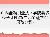 广西金融职业技术学院要多少分才能进(广西金融学院录取分数)