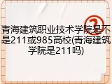 青海建筑职业技术学院是不是211或985高校(青海建筑学院是211吗)