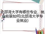 北部湾大学有哪些专业，就业前景如何(北部湾大学专业就业)