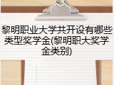 黎明职业大学共开设有哪些类型奖学金(黎明职大奖学金类别)
